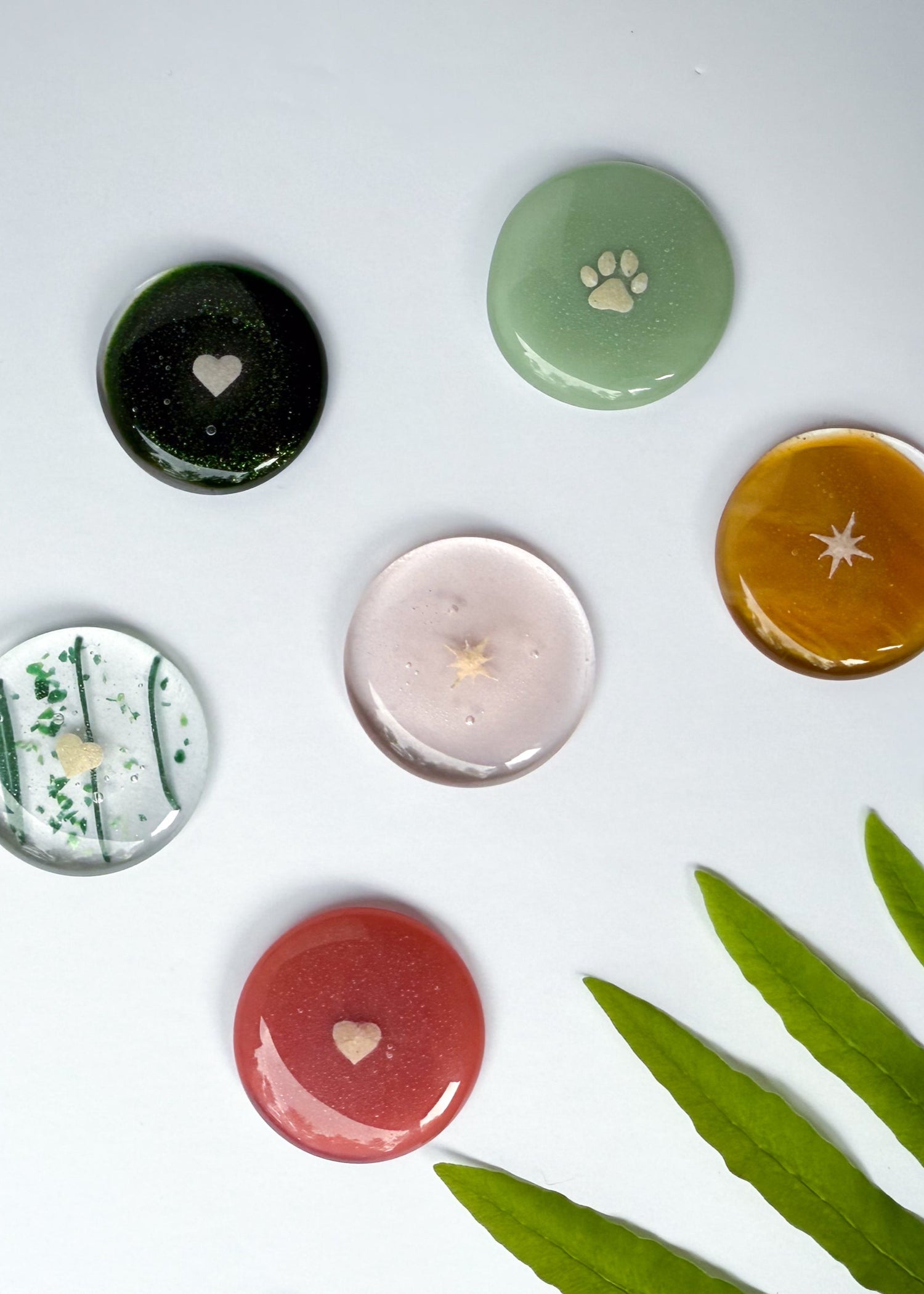 A group of colorful glass memorials touchstones with the ashes shaped into various designs sitting on a white background with a fern plant.